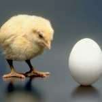 Chicken or the Egg: Culture Change or System Change?