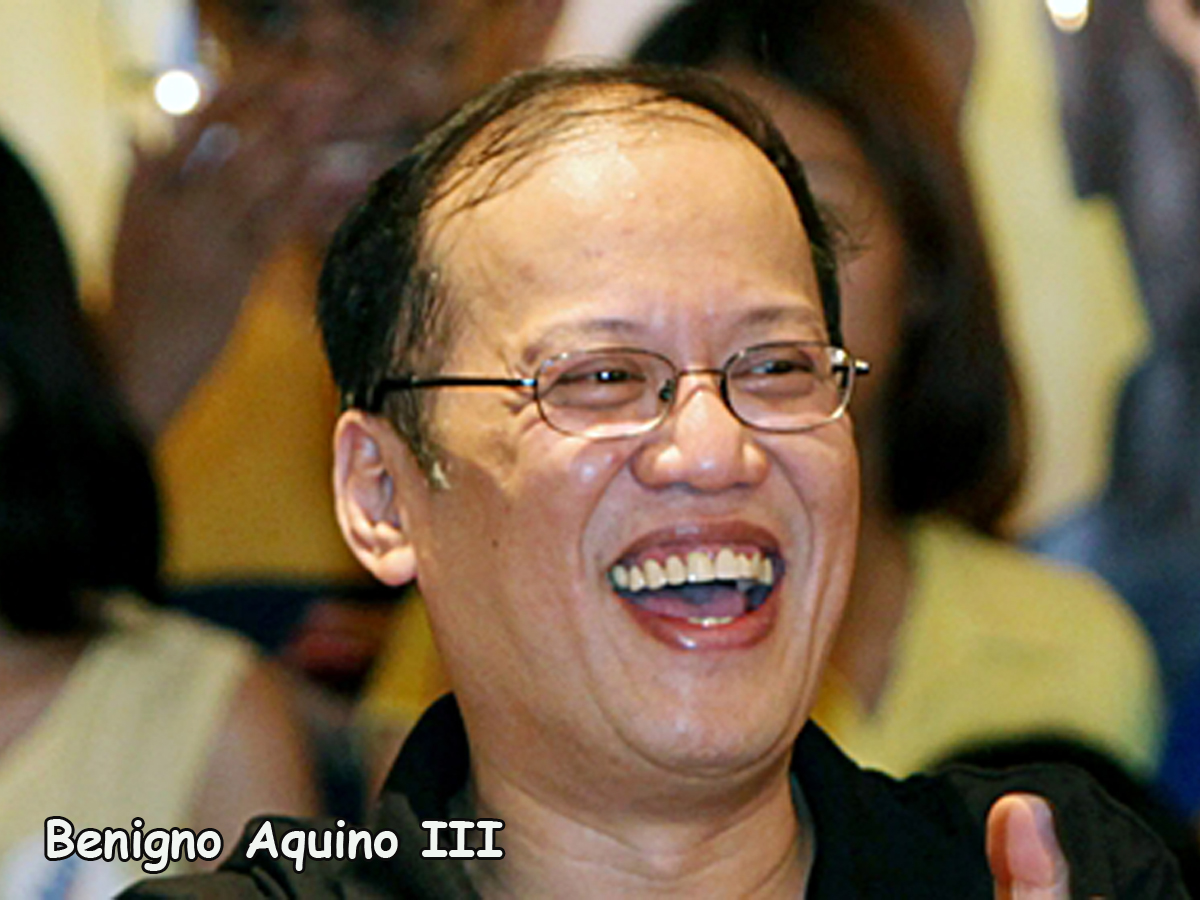 Benigno Aquino III, Mar Roxas
