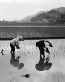 Land Policy after Land Reform in Japan